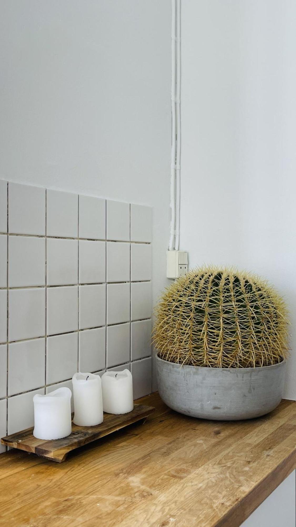 Appartamento Apartmentincopenhagen 1644 Copenaghen